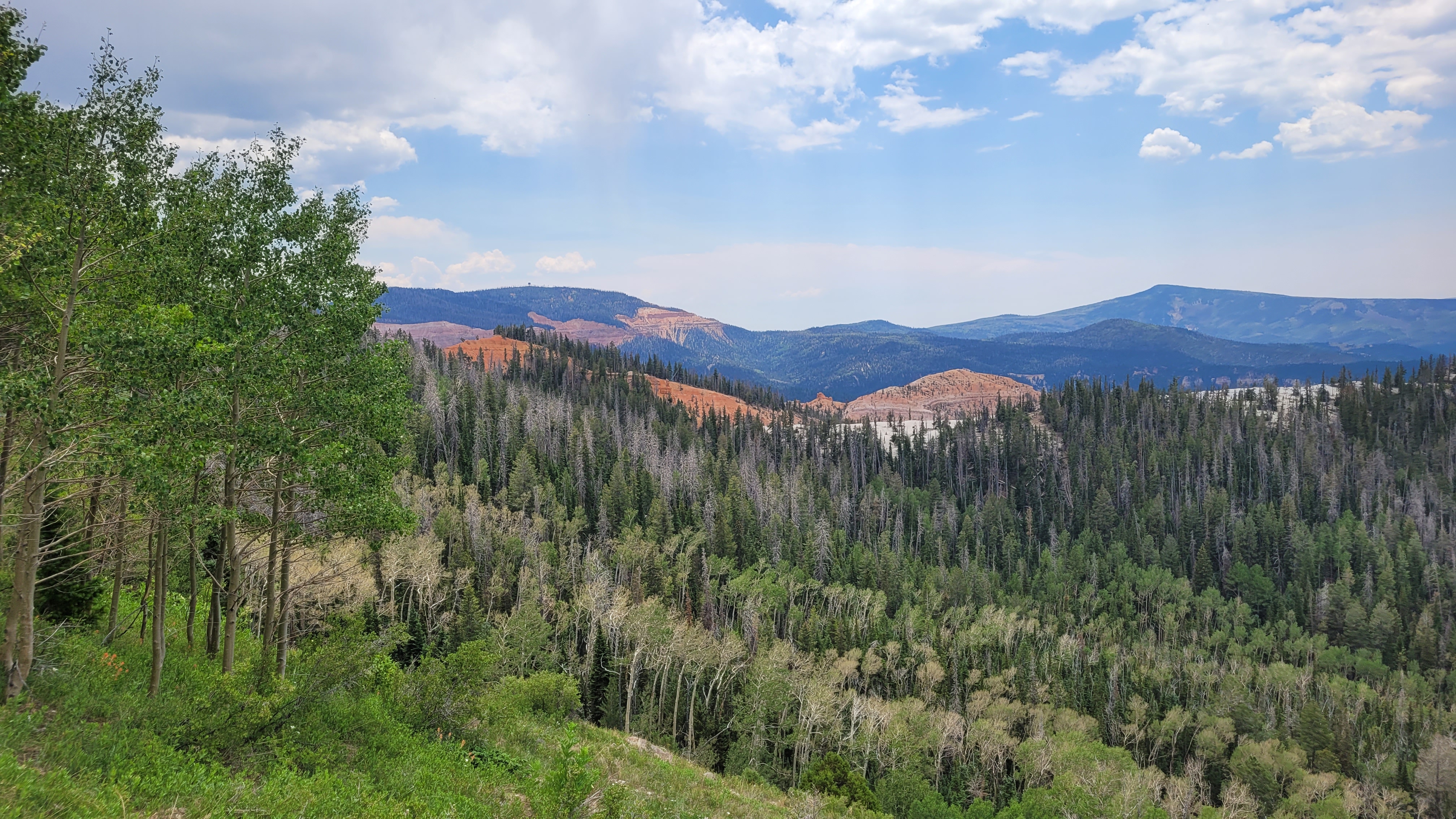 Cedar Breaks National Monument, seen in the distance, offers stunning views of red, orange and white cliffs.