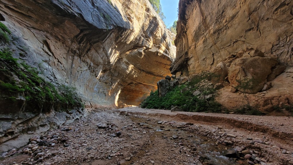 Ashdown Creek is like a mini Narrows at Zion National Park. Hiking through the creek while gazing at the stunning cliff walls is a surreal experience.