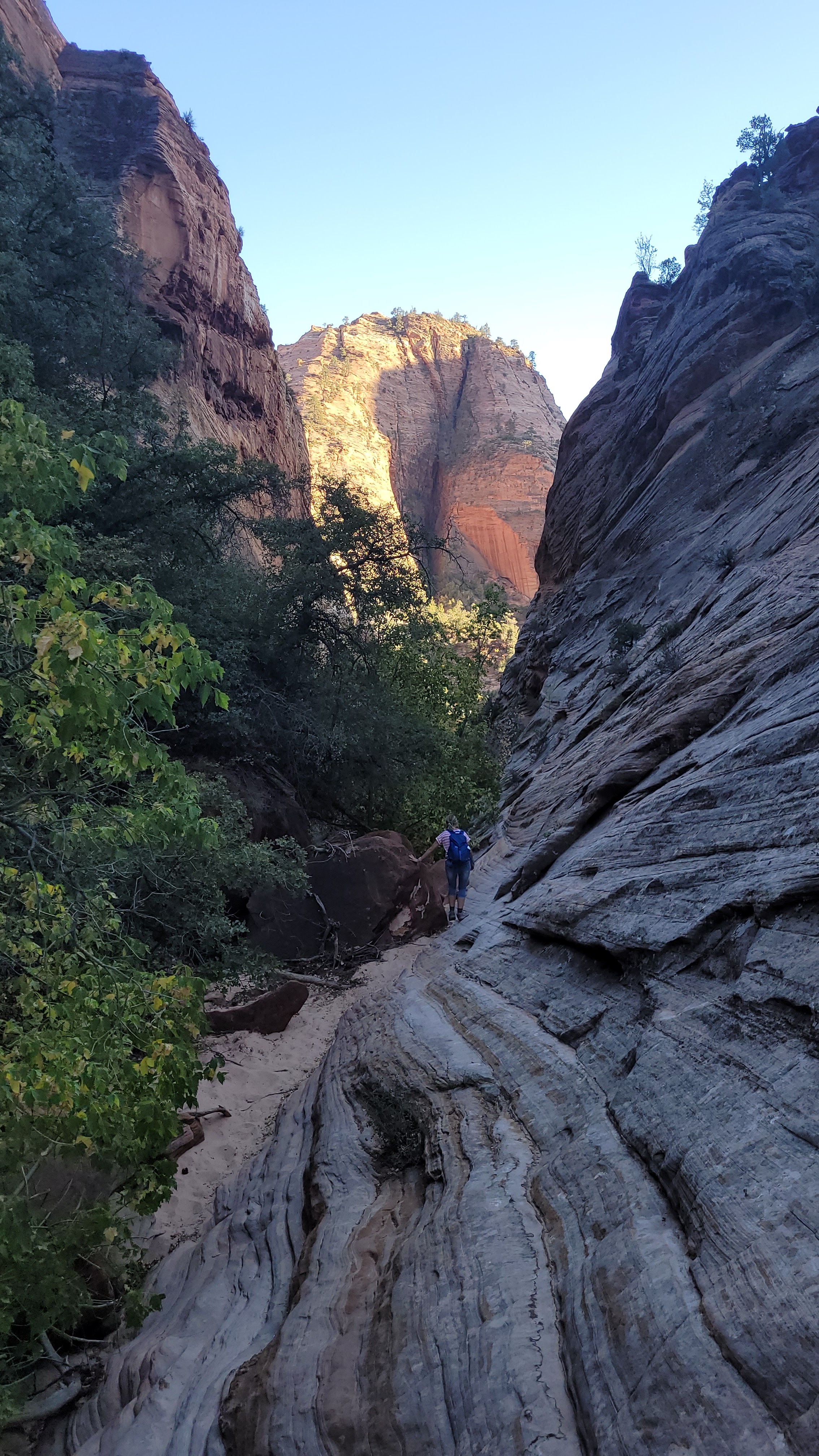 Shelf Canyon inside Zion National Park