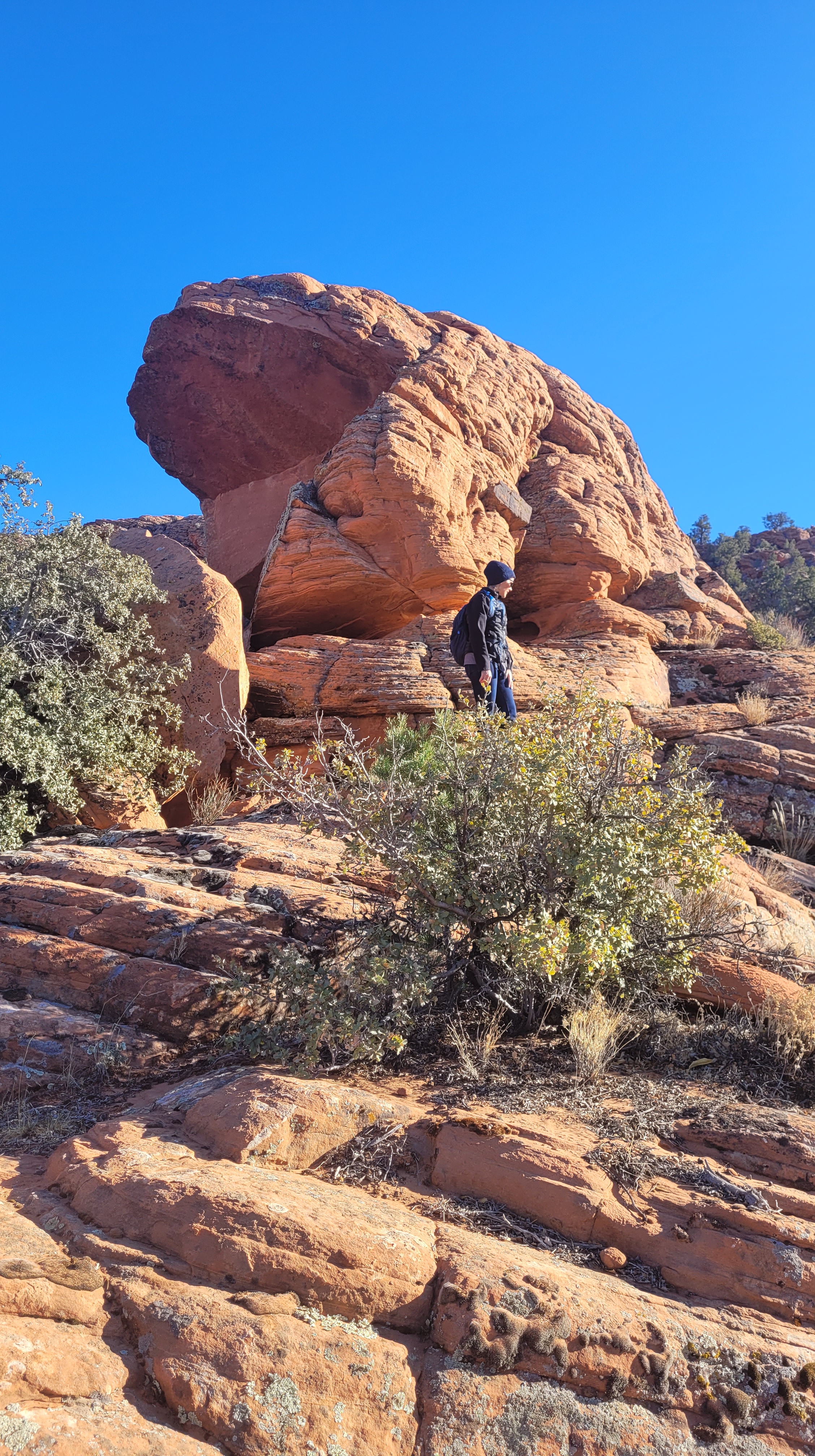 Gunlock Loop