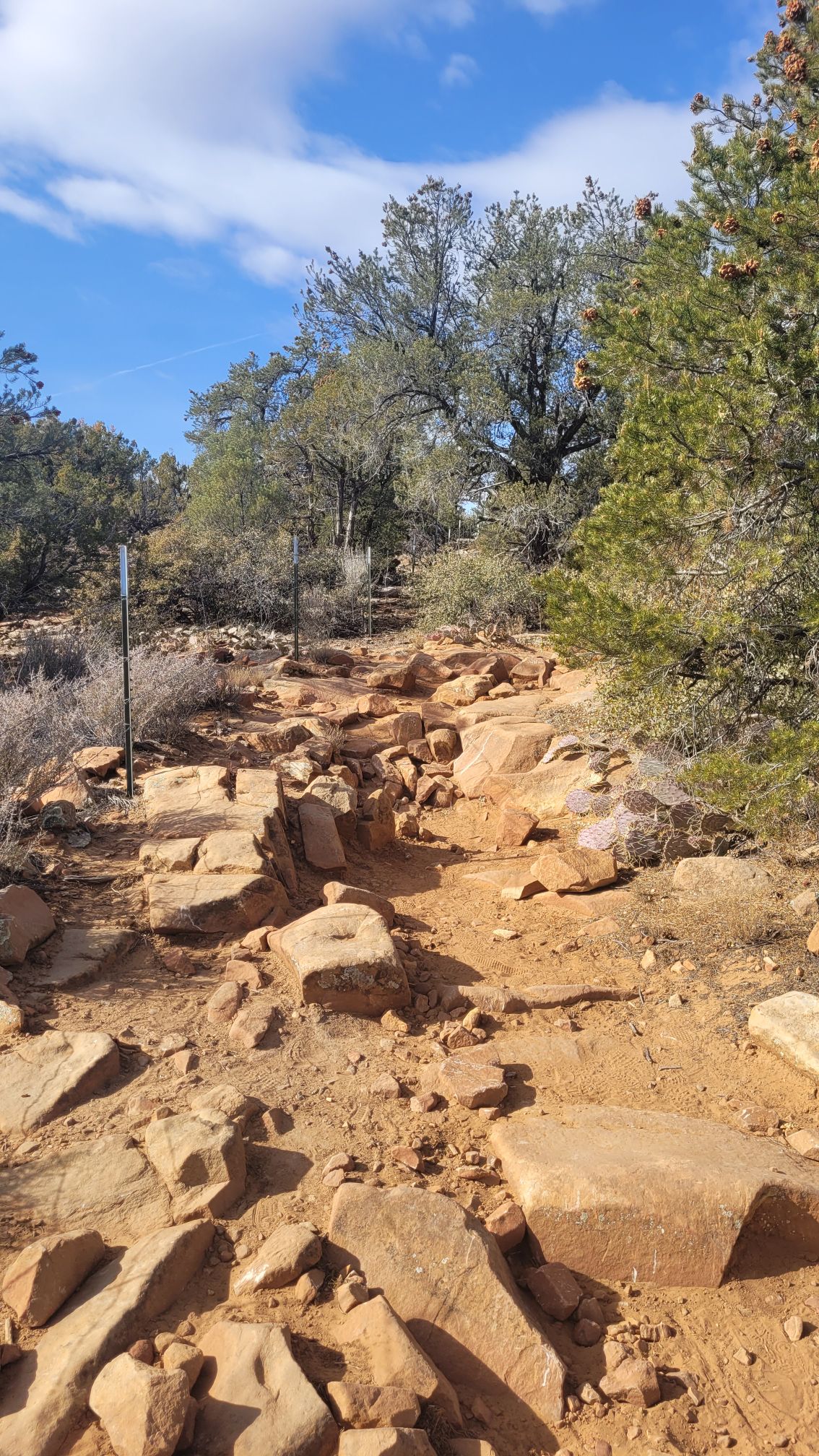 20250201_1101375477762907037748189