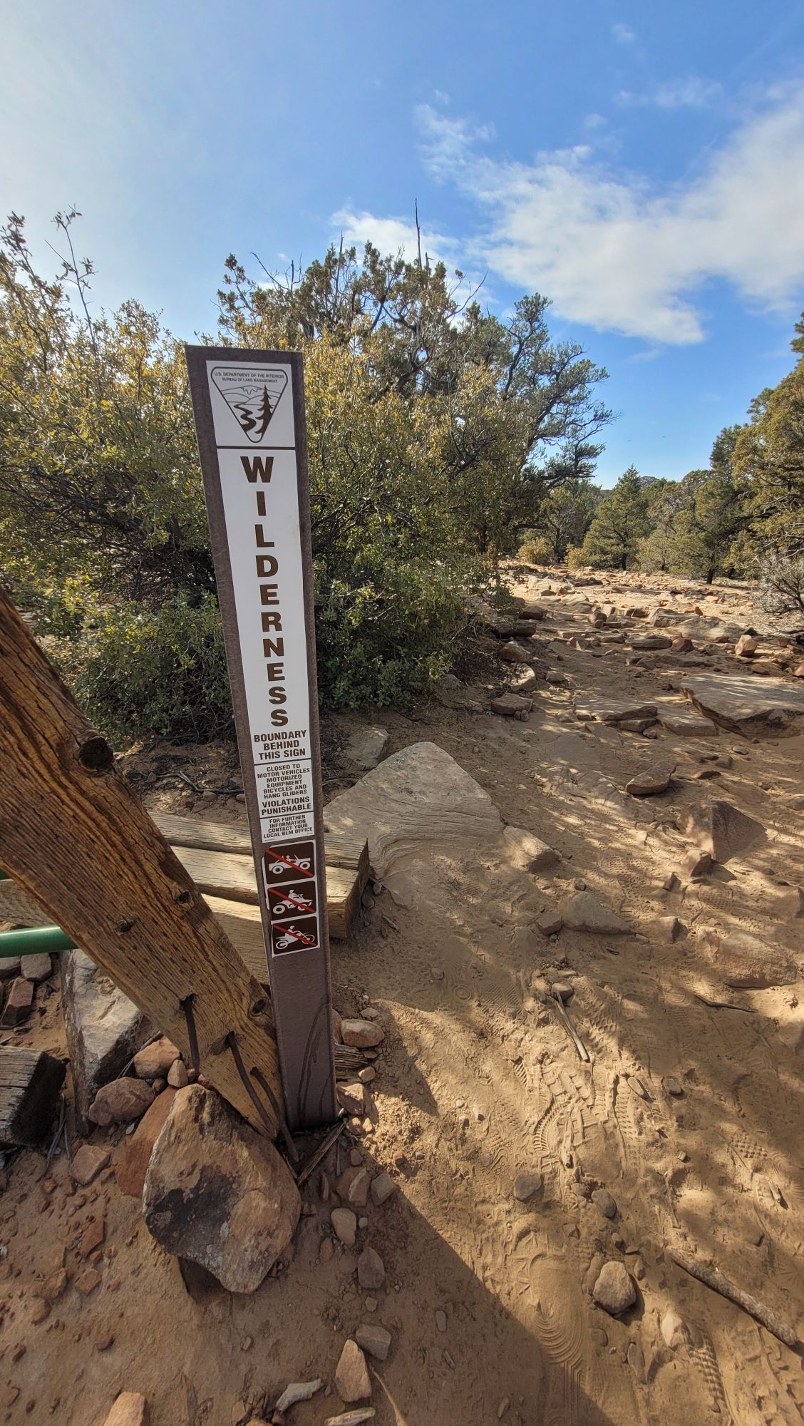 20250201_1109275642559069073444906