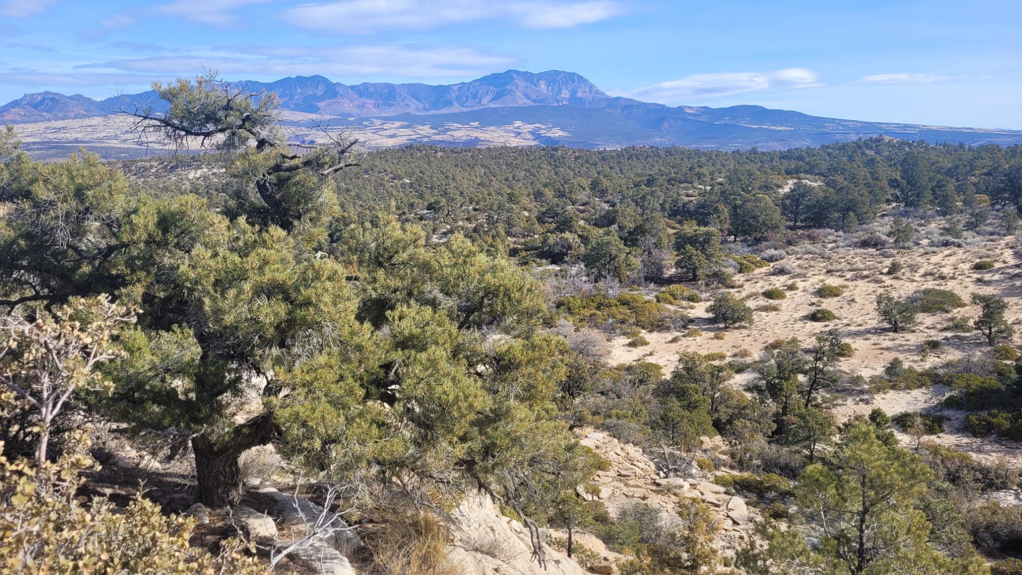 20250201_1139475367829845970337546