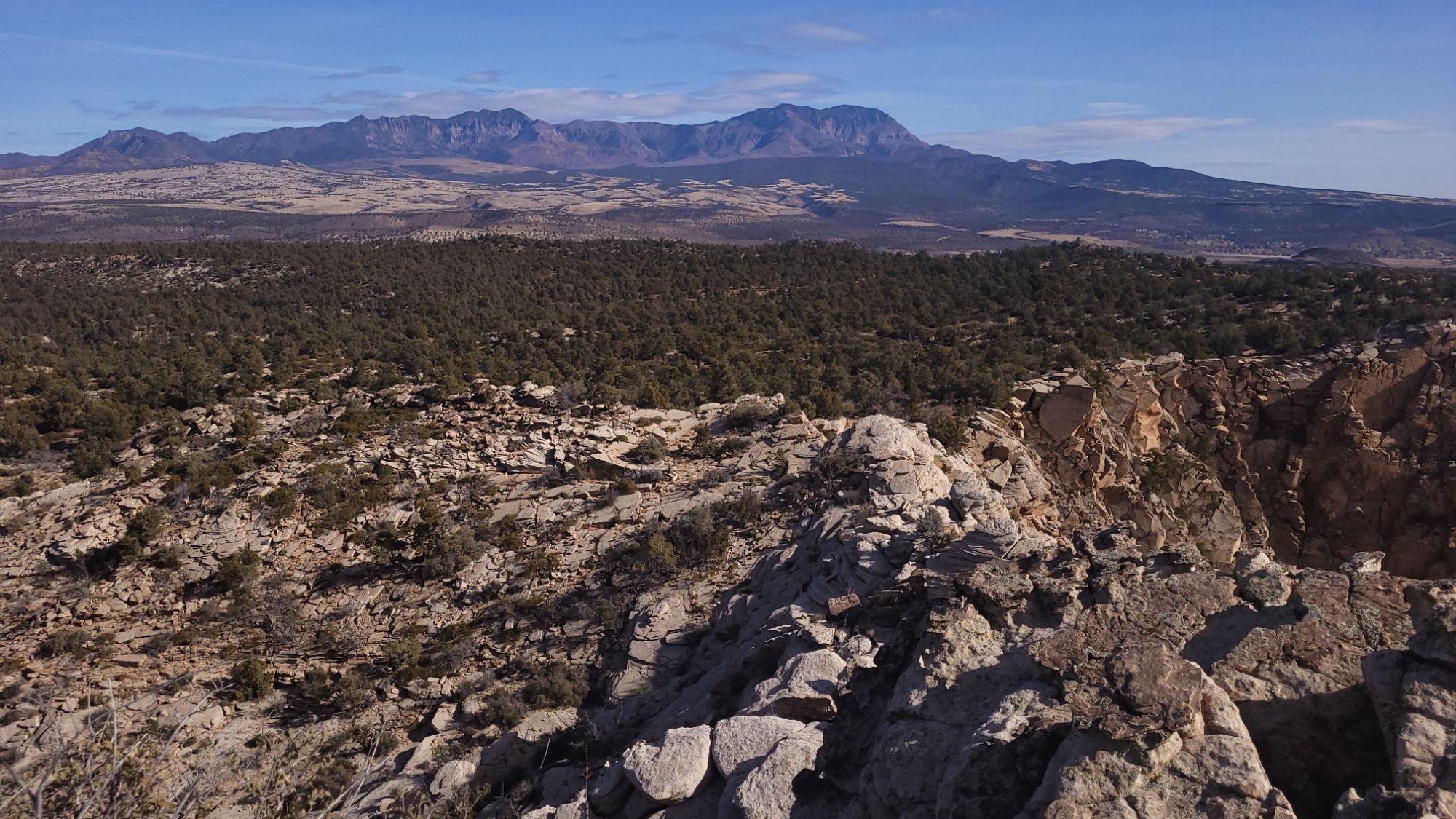 20250201_1150124700061686824305753