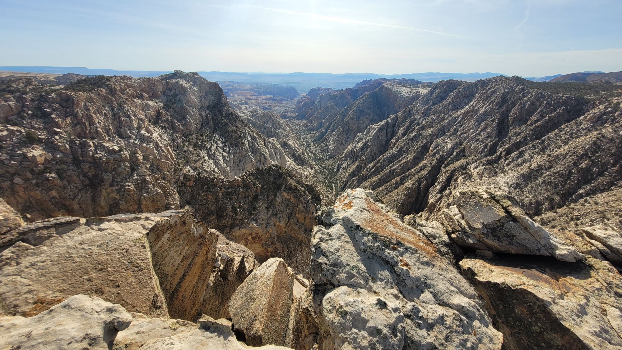 20250201_1150344375492449977719596