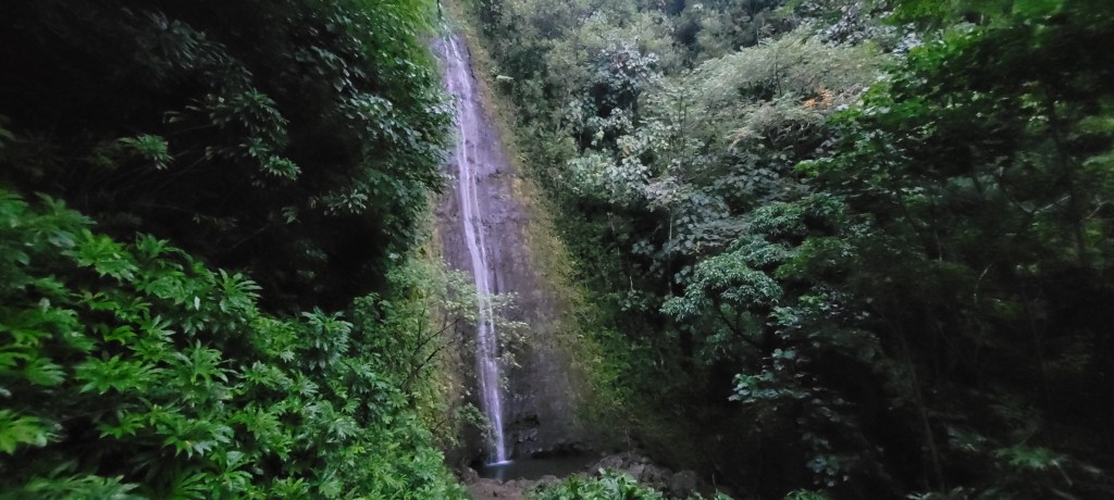 Manoa Falls