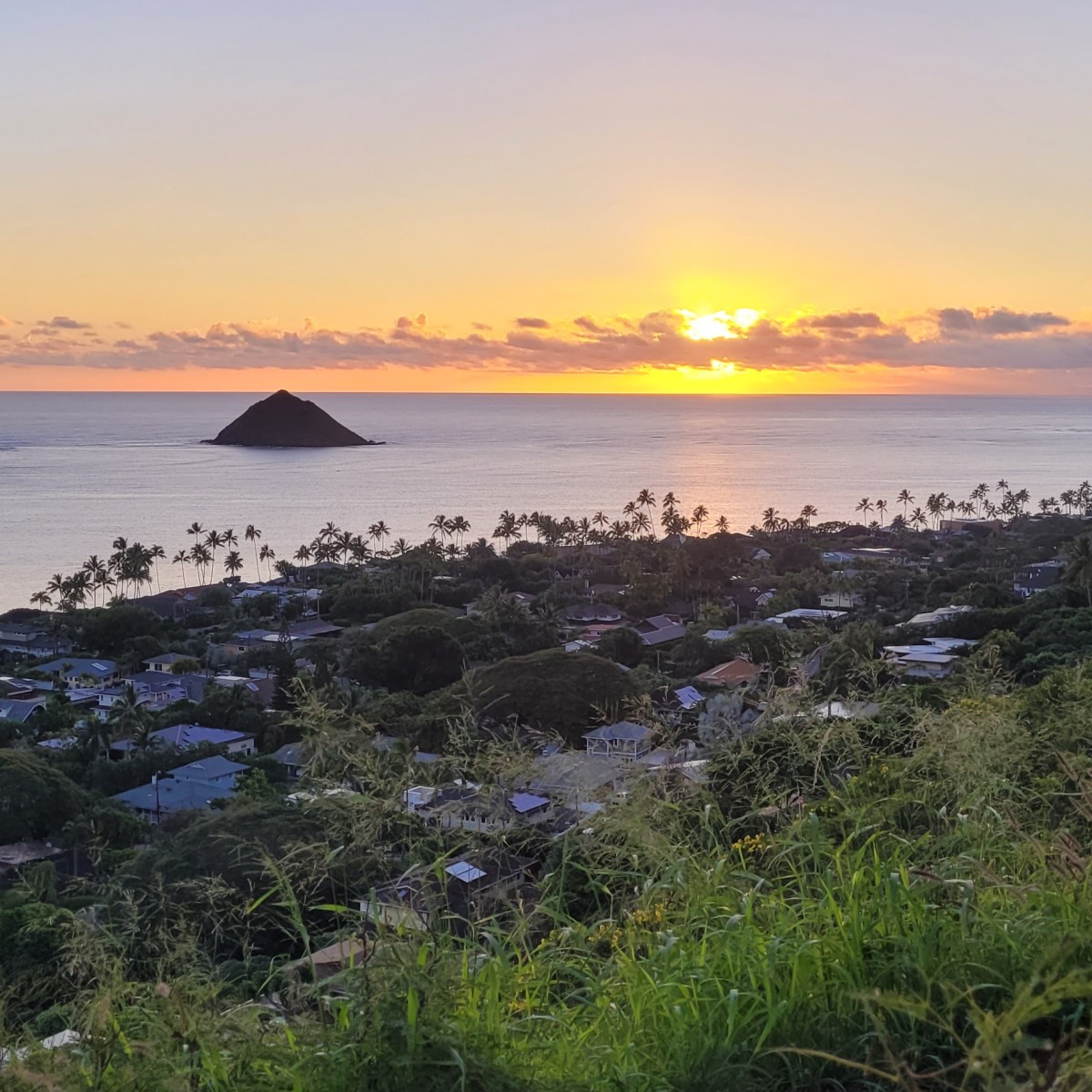 Lanikai Pillbox Hike (Kaiwa Ridge Trail): Sunrise, Whales & the Famous “Mokes” on Oʻahu’s Windward&nbsp;Side