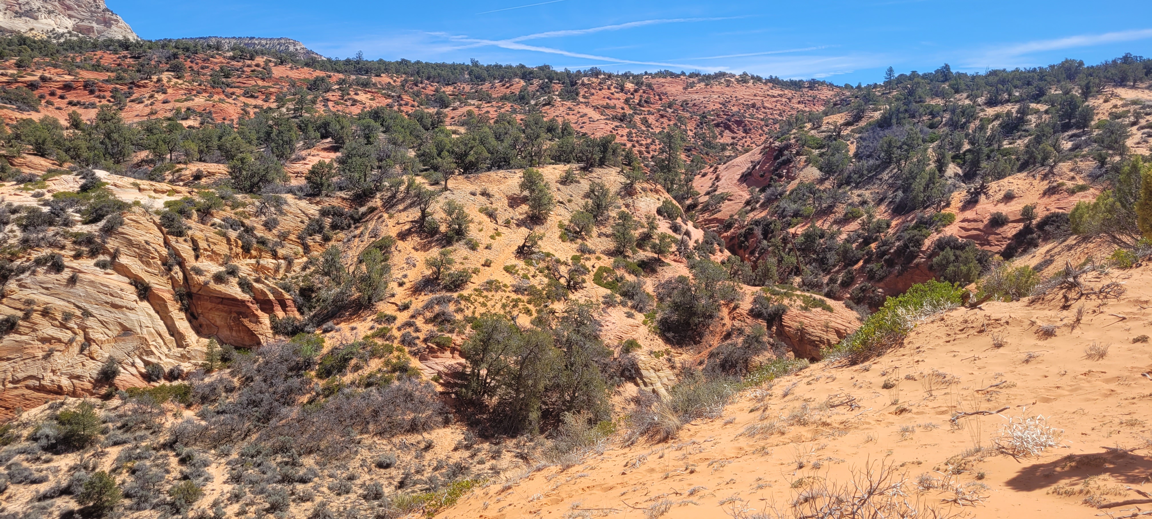 View of Diana's Throne - also known as Elkheart Cliffs Slot Canyon - from above.