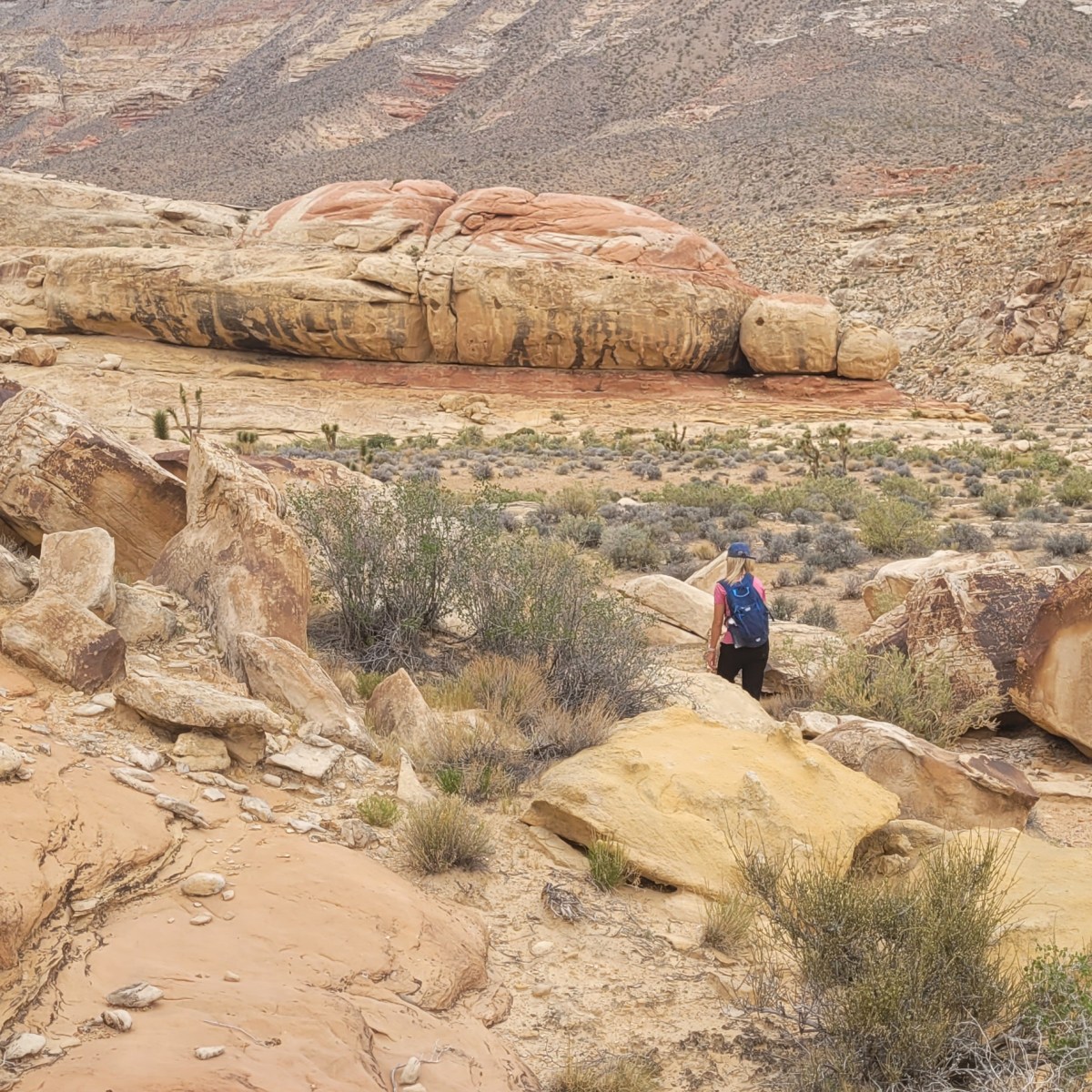 Hamburger Rock Hike Guide: A Hidden Gem in the Virgin River Gorge You Need to&nbsp;Explore
