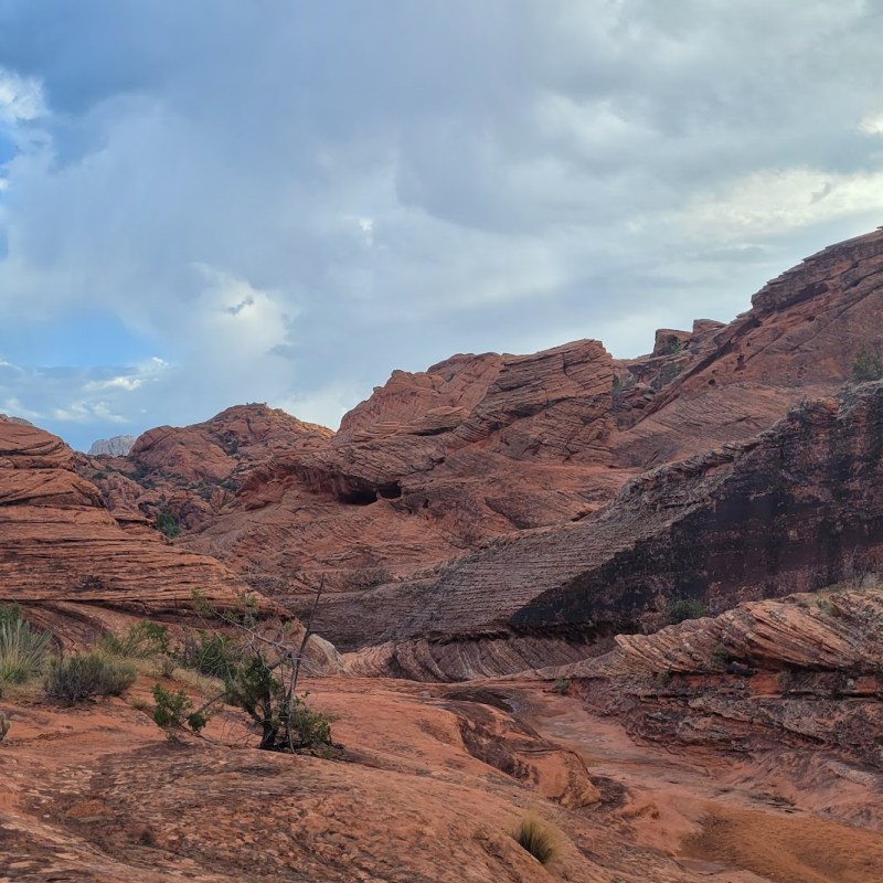 How Much Water Do You Need to Hike in the&nbsp;Desert?