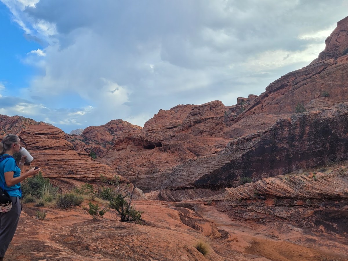 How Much Water Do You Need to Hike in the&nbsp;Desert?