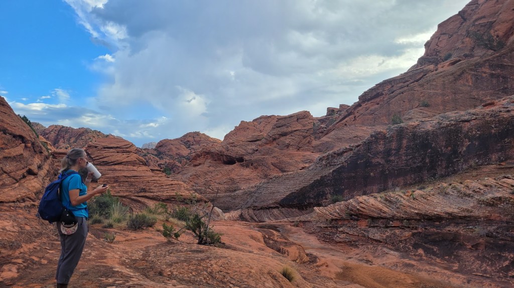 How Much Water Do You Need to Hike in the&nbsp;Desert?