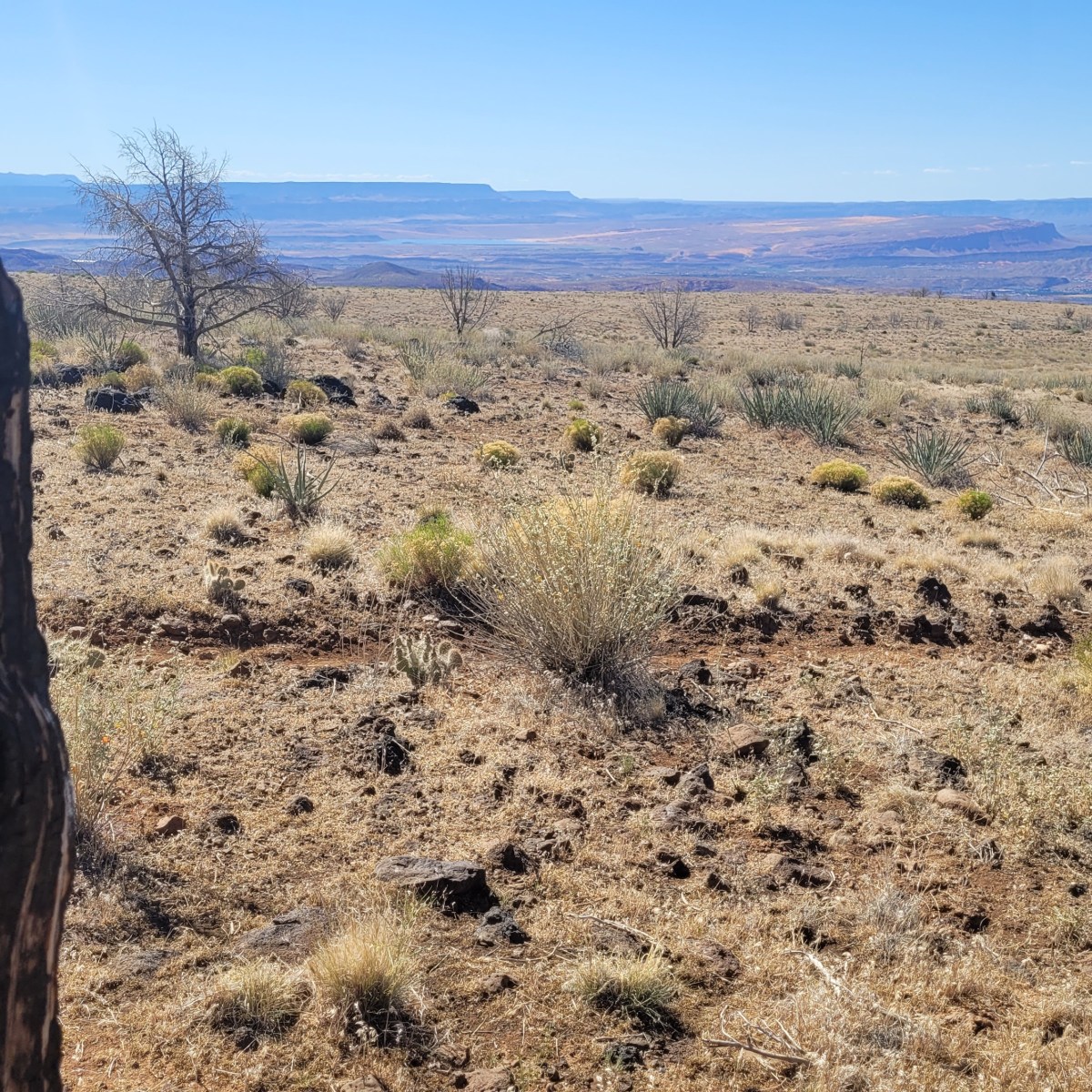 Broken Mesa Rim Trail: Big Views on One of St. George’s Most Overlooked&nbsp;Hikes