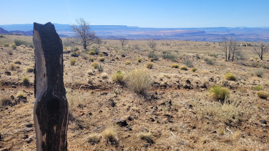 Broken Mesa Rim Trail: Big Views on One of St. George’s Most Overlooked&nbsp;Hikes